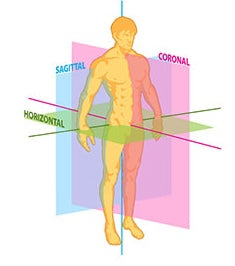 Ativação Miofascial: Segmentos Sagital, Frontal e Transverso