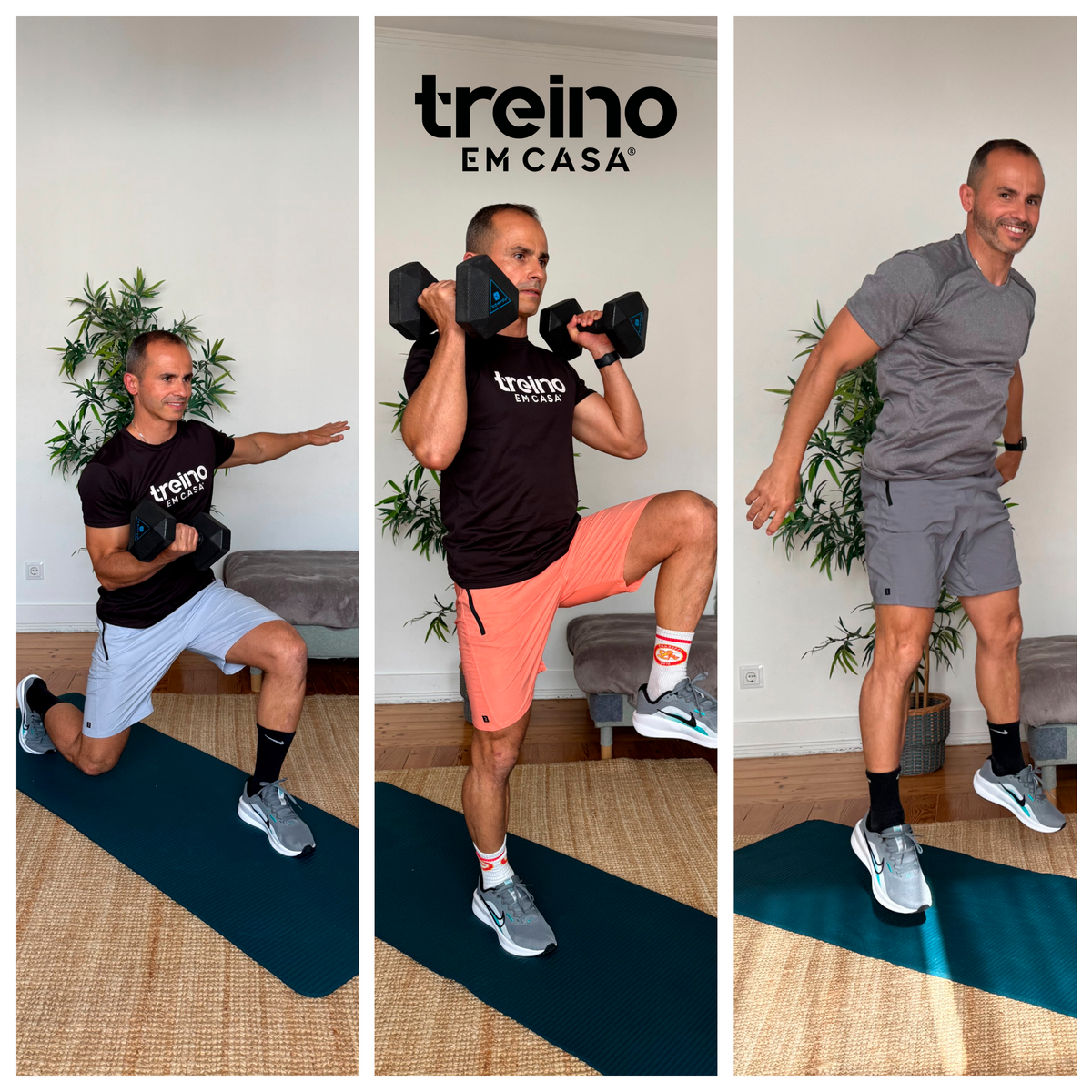 Treino 365
