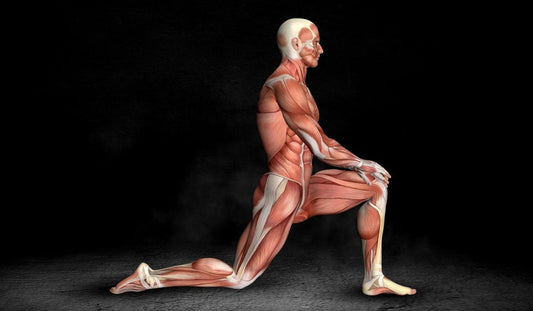 Psoas Ilíaco: Como alongar e treinar