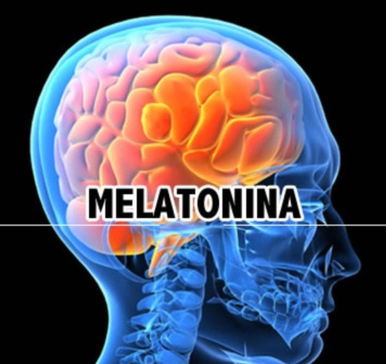 Melatonina: Estratégias para Produzir Naturalmente