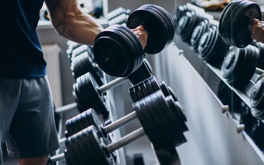 Treino de Ginásio – Terça-Feira - Duração Total: 1 Hora